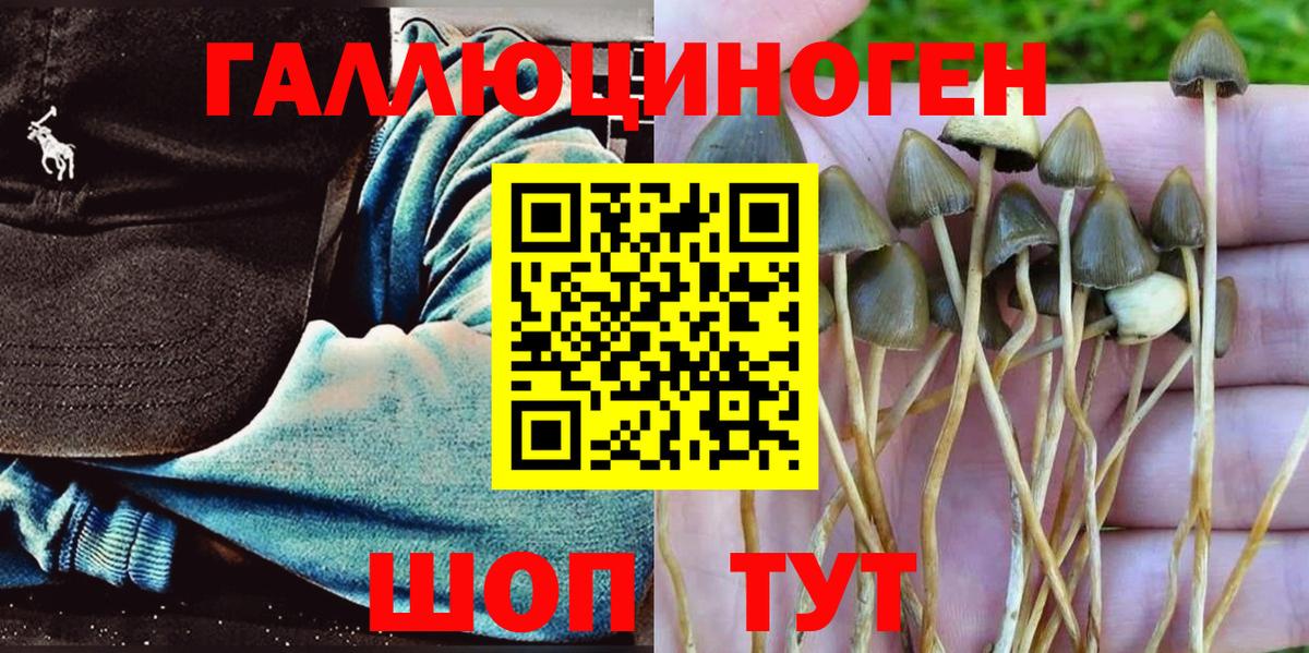 Марихуана  МАРИХУАНА  КОКАИН  Удомля  ЭКСТАЗИ  Вход с VPN  Гашиш  Гашиш  МЕФ кристаллы 