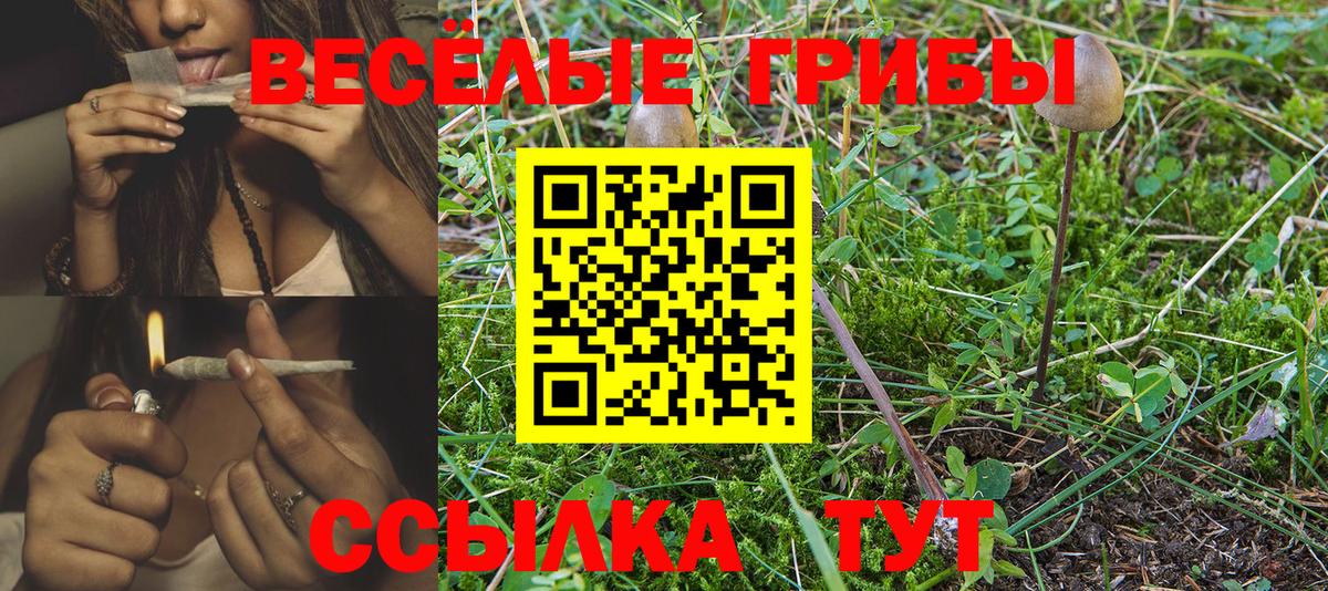 Галлюциногенные грибы Magic Shrooms  Вход с VPN  продажа наркотиков  Удомля 