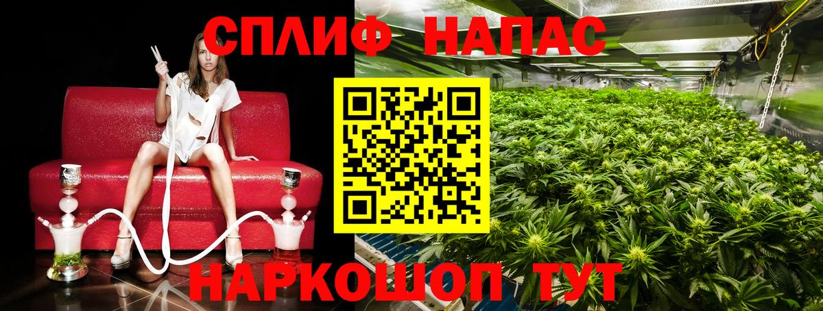 Каннабис MAZAR  Конопля OG Kush  Вход с VPN  Конопля семена  Удомля 